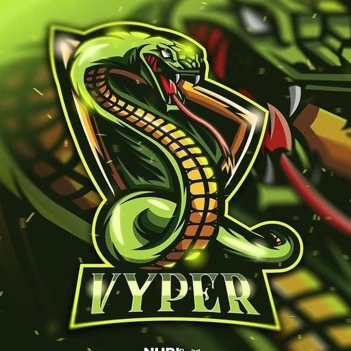 -V1perZ- avatar