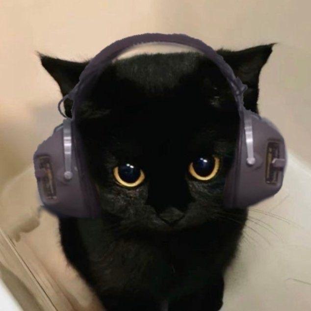 szanx avatar