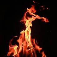 fireee43