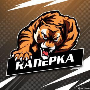 Ranepka avatar