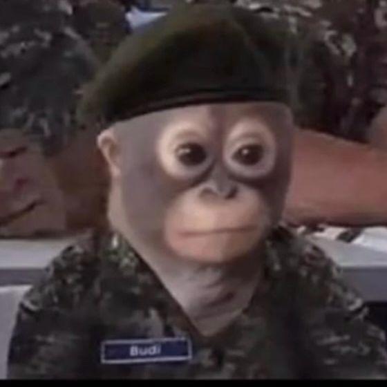 ChipizdoniX avatar