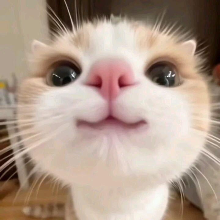AlterEgo2077 avatar
