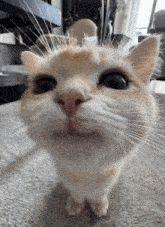 azorkai avatar