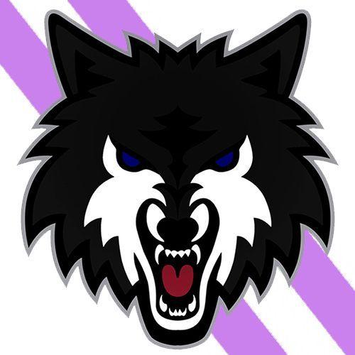 ProXiaCraft avatar