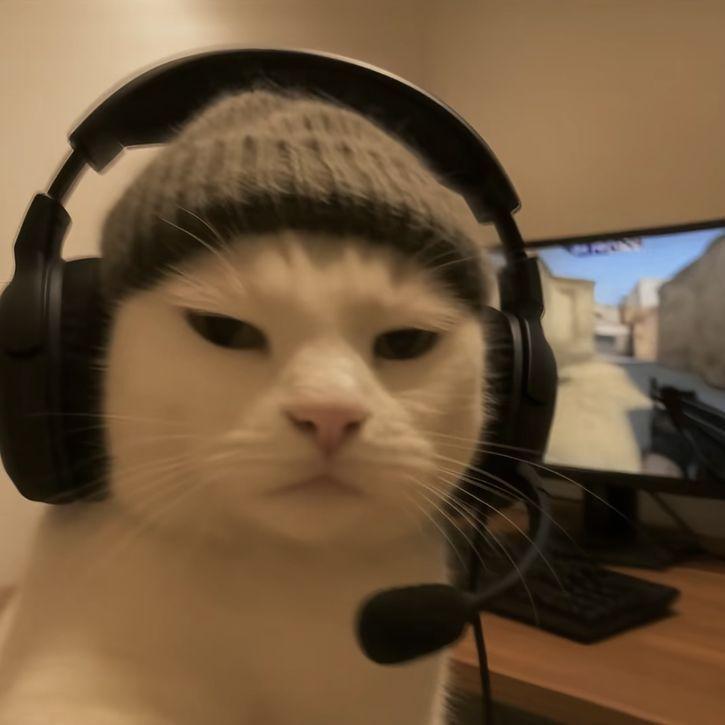 catwitaglock avatar