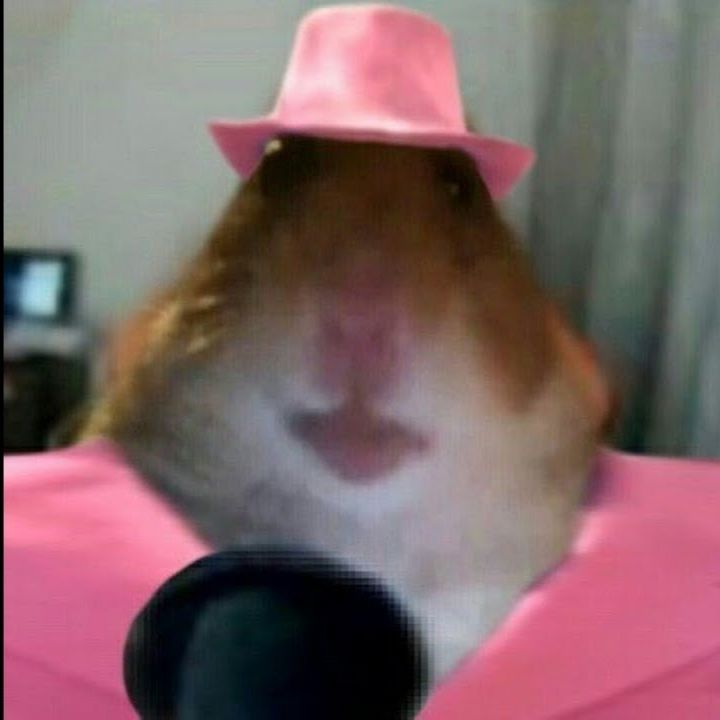 KEKAS13