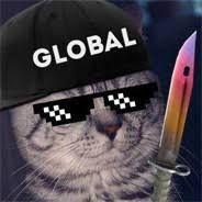 folz1e avatar