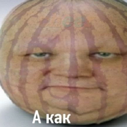 20 nagetsov