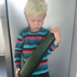 Anteboy8