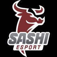 Sashi Academy