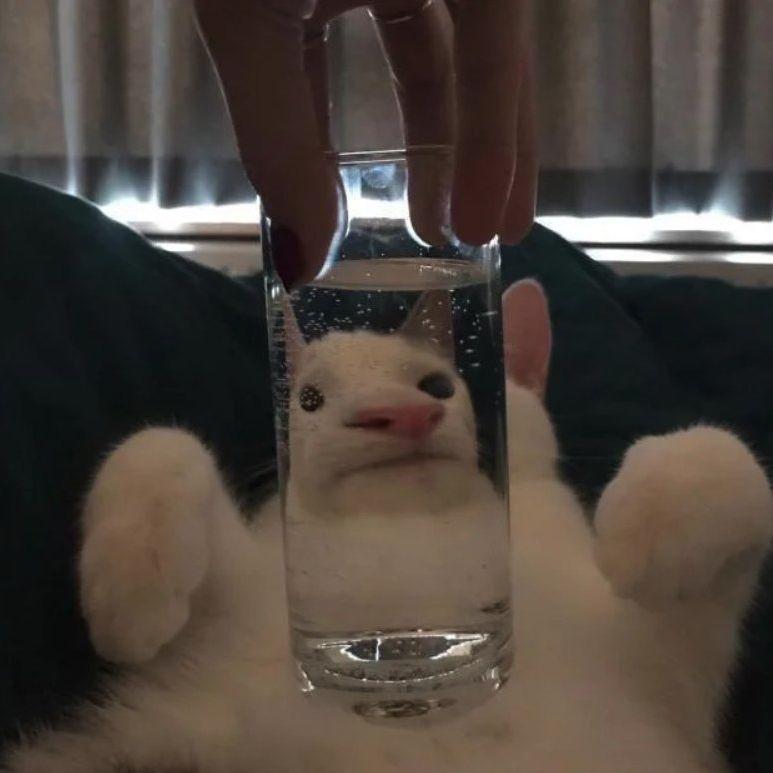 D_Picture