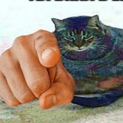 reluls1ve avatar