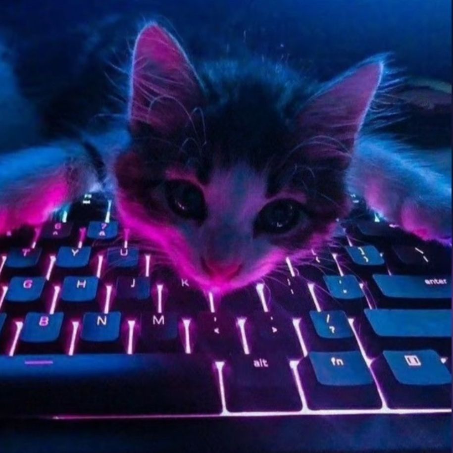 team_N1nek