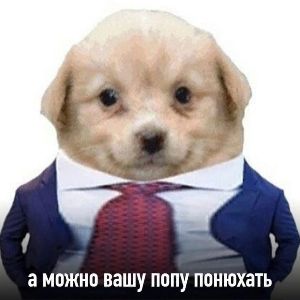 _-NiKit0S-_ avatar