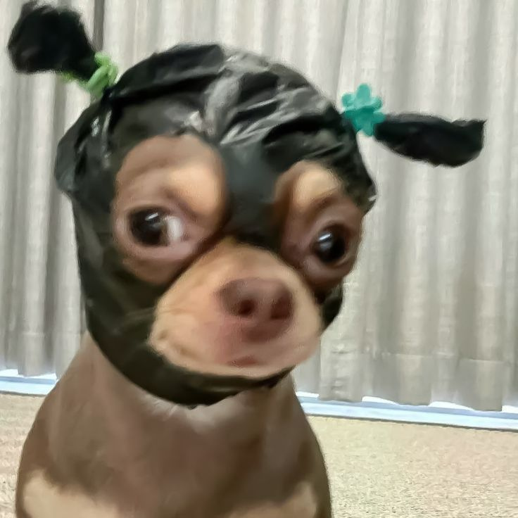 Beastrexz