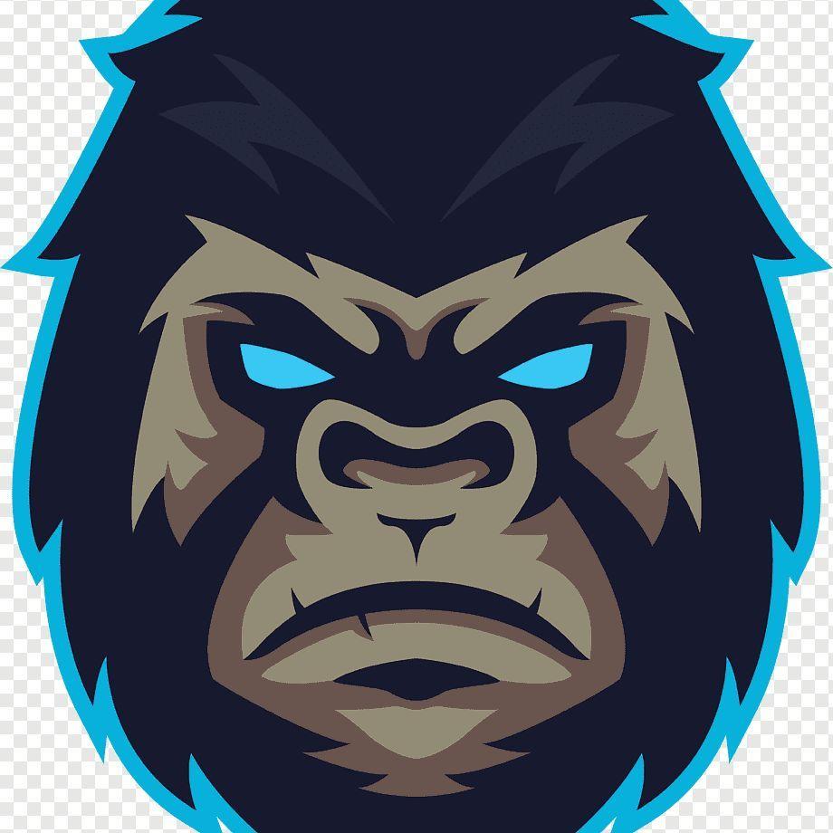 _Macaco avatar