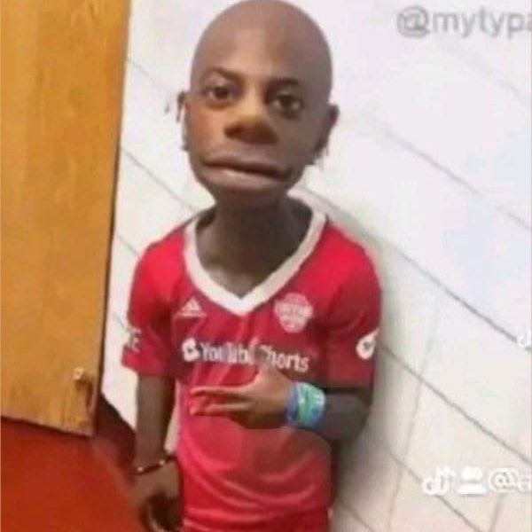 Miguelfs