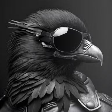 Player crow222 avatar