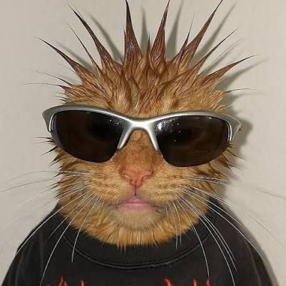 Faceit Avatar