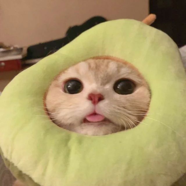 Zbychurazdwa avatar