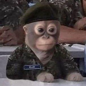 RomanUG
