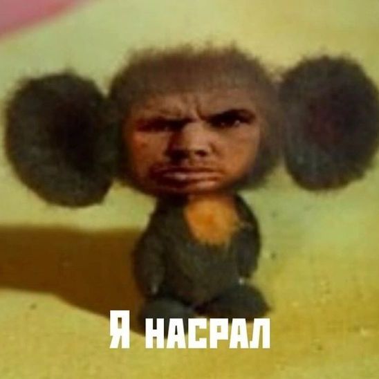 spb52