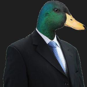 mmDuck avatar