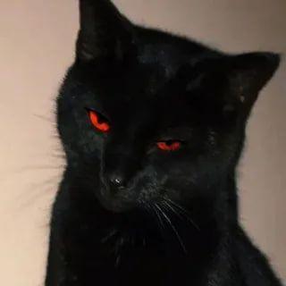 vladontye avatar