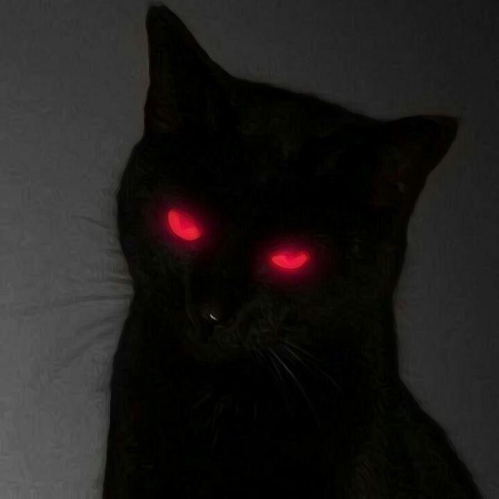 hate1313 avatar