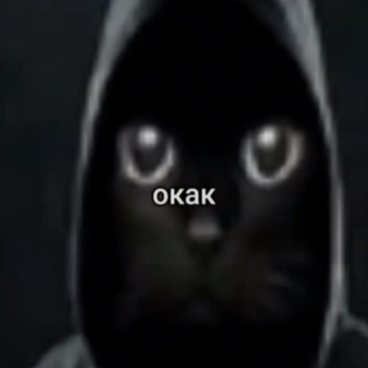 Tehan12 avatar