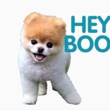 HEY-boo