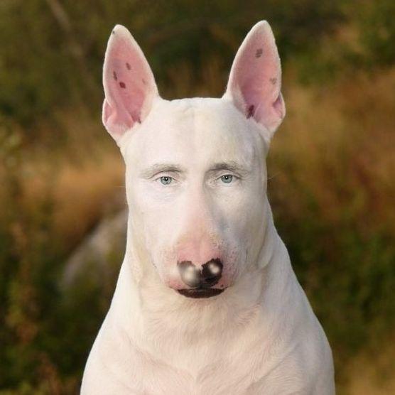 EbanieObema avatar