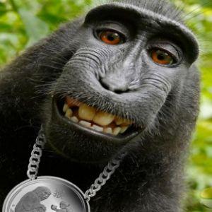 MACAQUE666 avatar