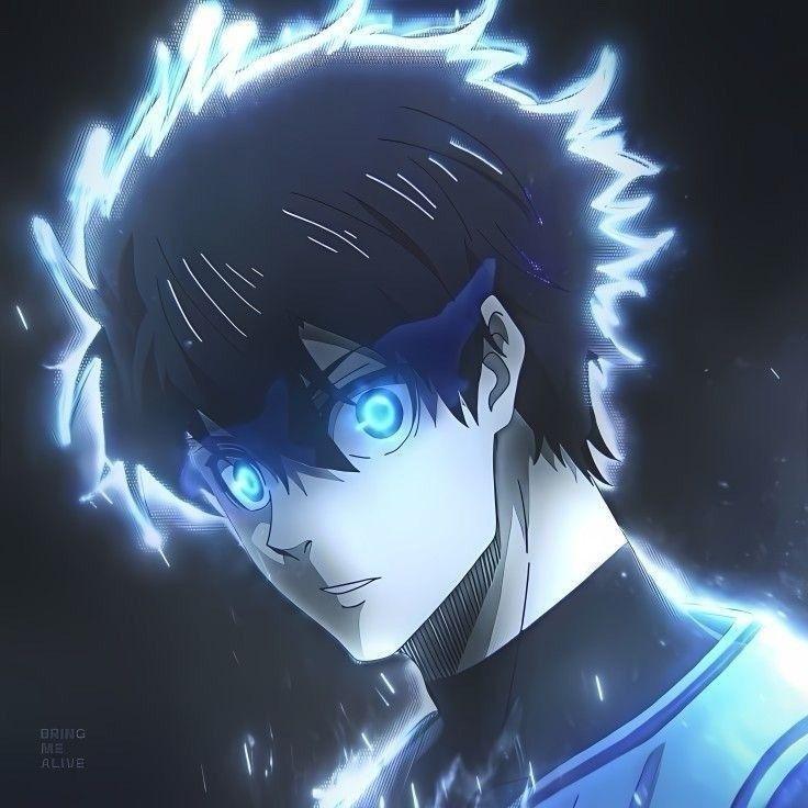 shoutbtw avatar