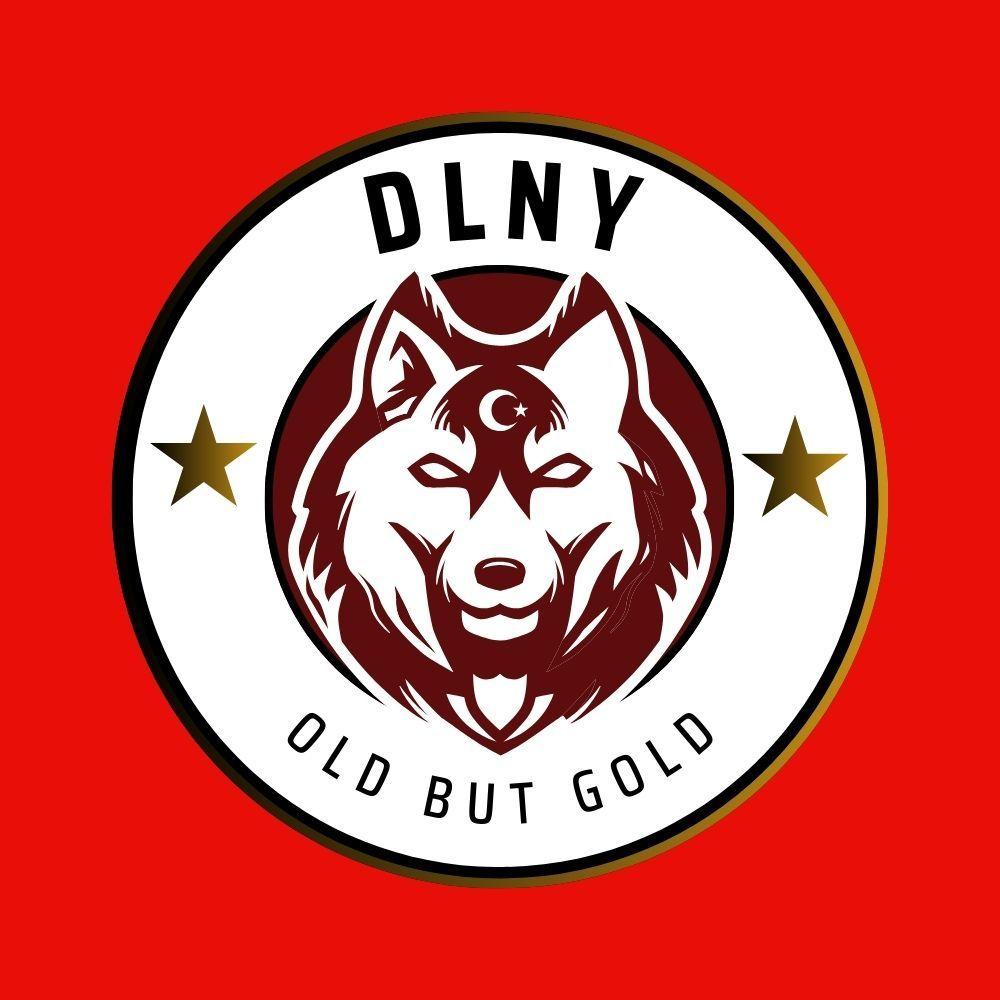 dLnY avatar