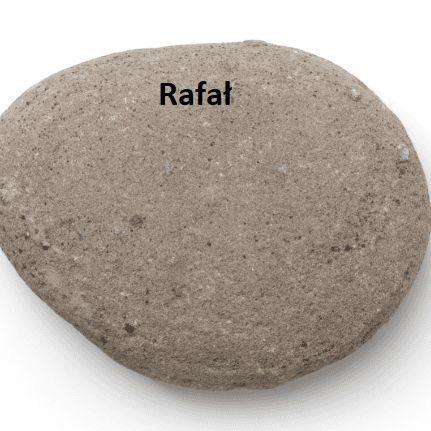 Rafalkamien