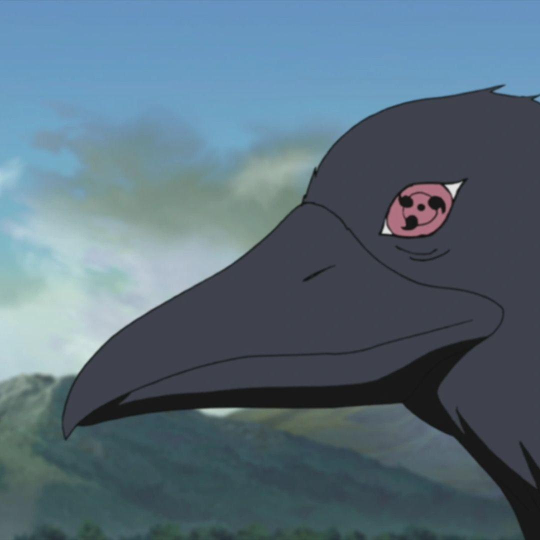 crowgenjutsu avatar
