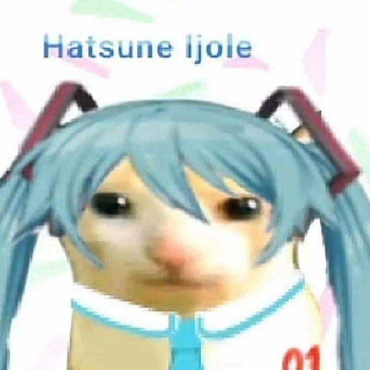 ki4une avatar