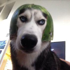 Hakanycl avatar