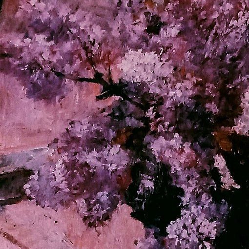 enjo