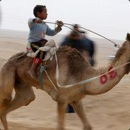 CamelxRiders