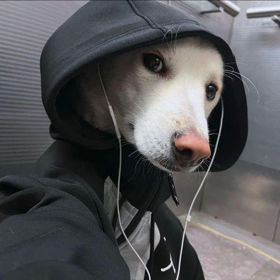 em0k1d avatar
