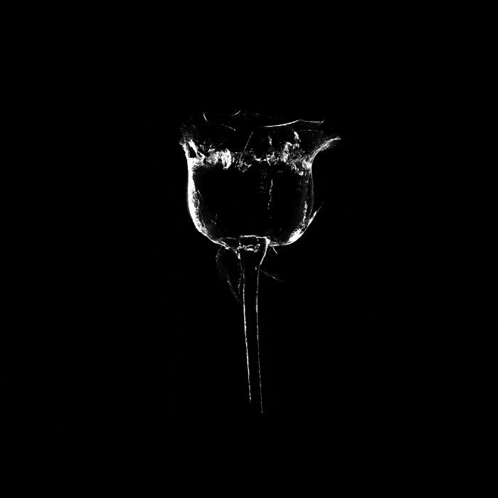 Faceit profile picture for @zoni