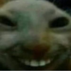 d3st1N-