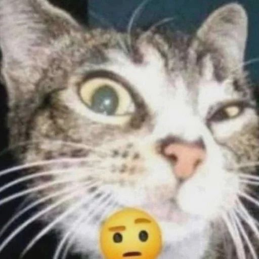 DuDaFunk2 avatar