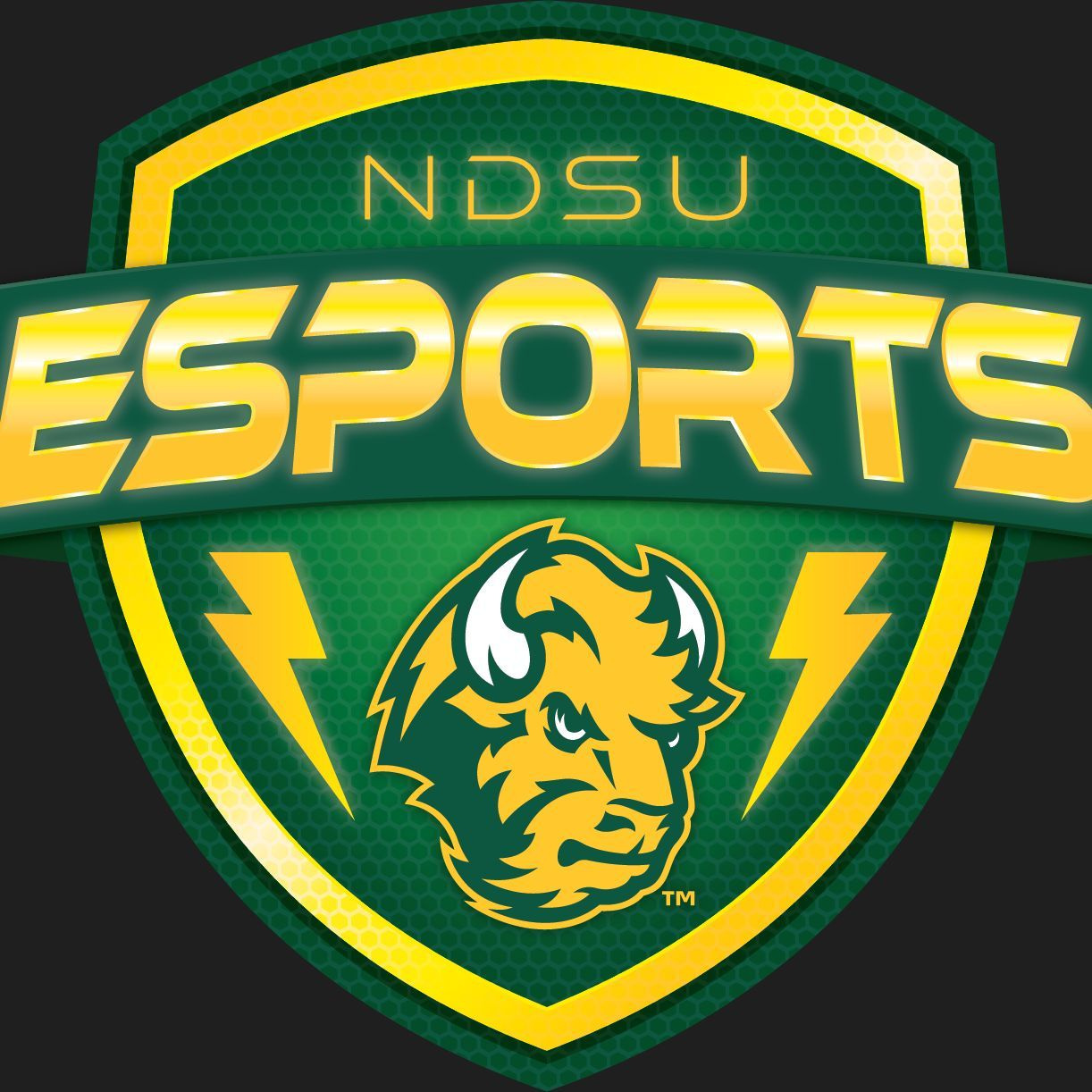 NDSU Esports