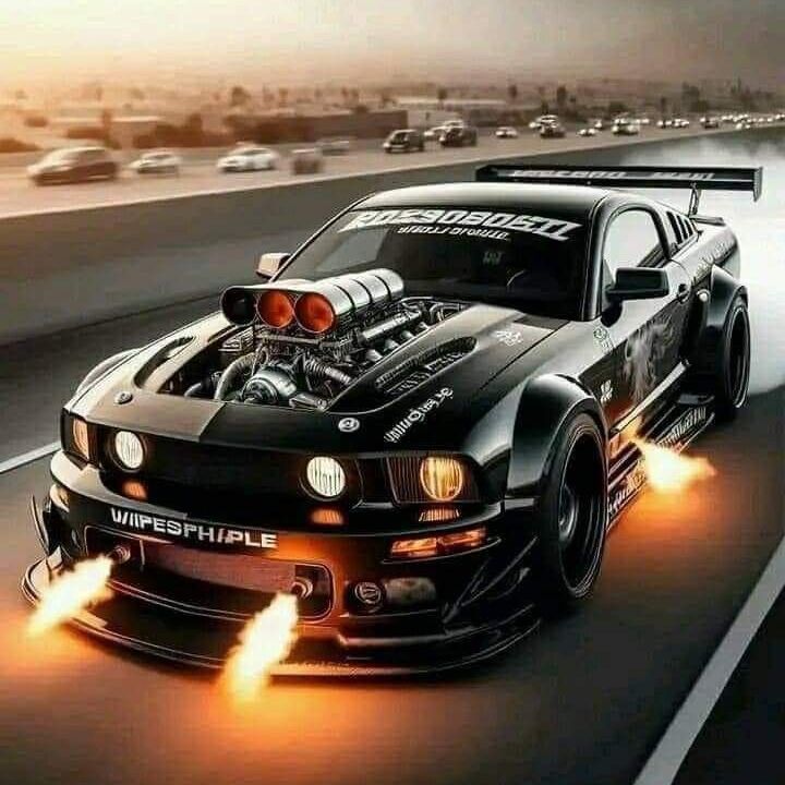 Stalgor_T
