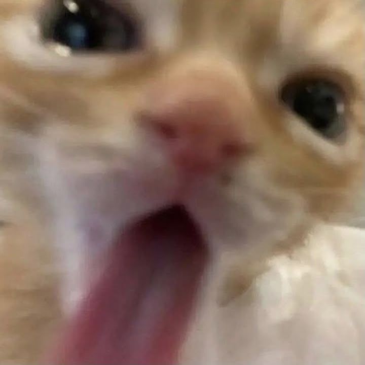 apathyy0y0