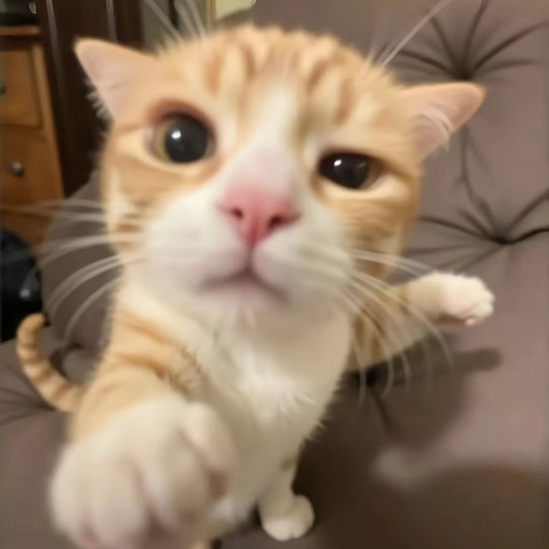 Z4rY