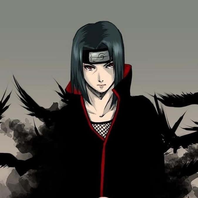 luvmxxifq avatar